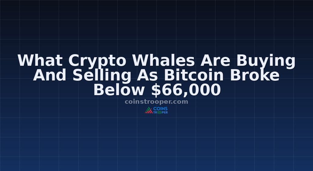 What Crypto Whales Are Buying And Selling As Bitcoin Broke Below $66,000