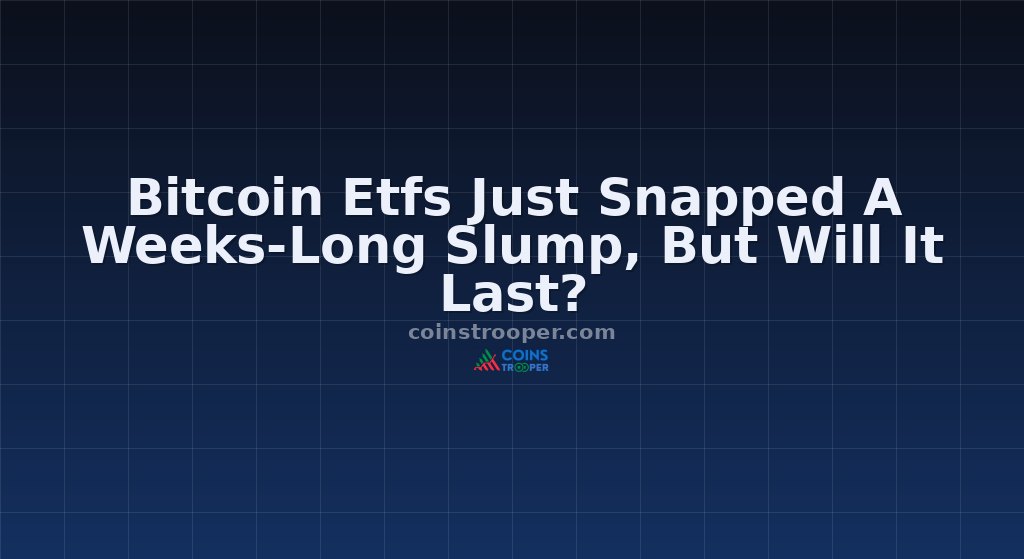 Bitcoin Etfs Just Snapped A Weeks-Long Slump, But Will It Last?