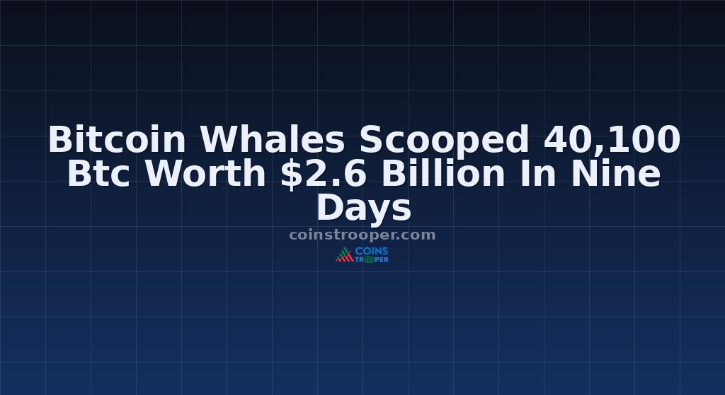 Bitcoin Whales Scooped 40,100 Btc Worth $2.6 Billion In Nine Days
