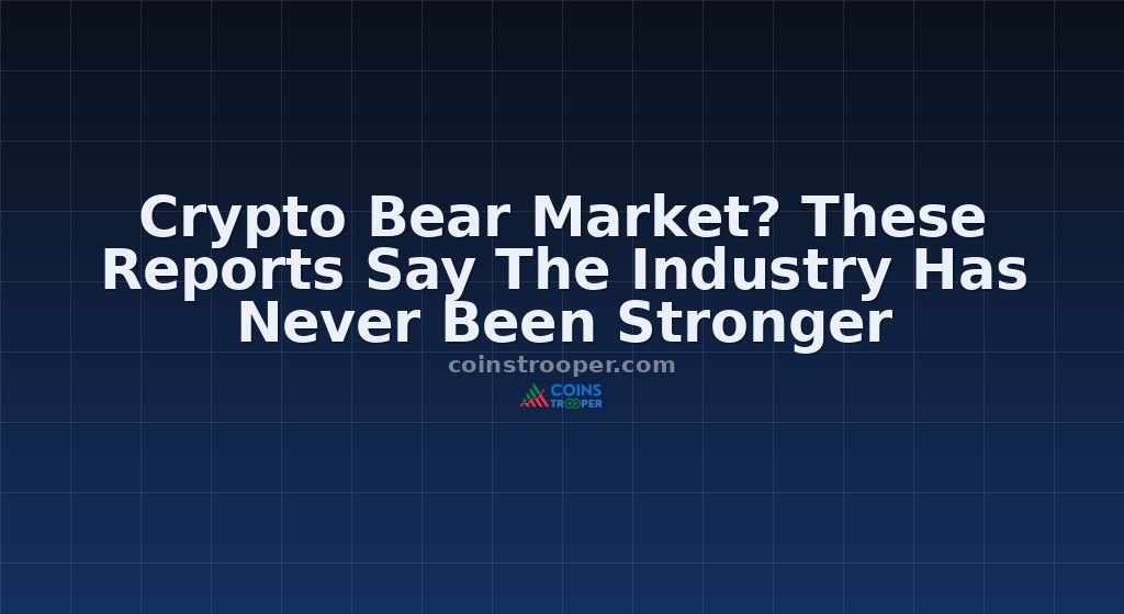 Crypto Bear Market? These Reports Say The Industry Has Never Been Stronger