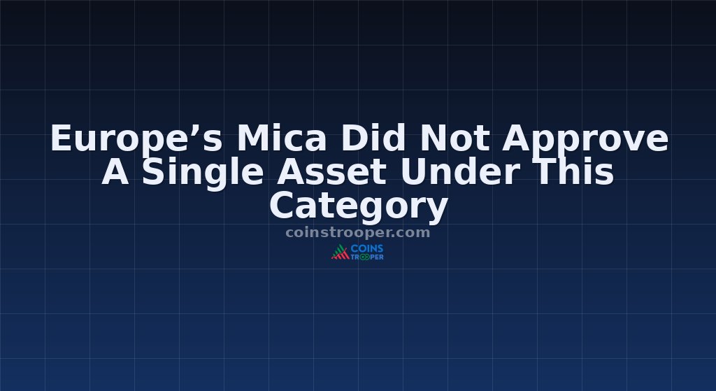 Europe’s Mica Did Not Approve A Single Asset Under This Category