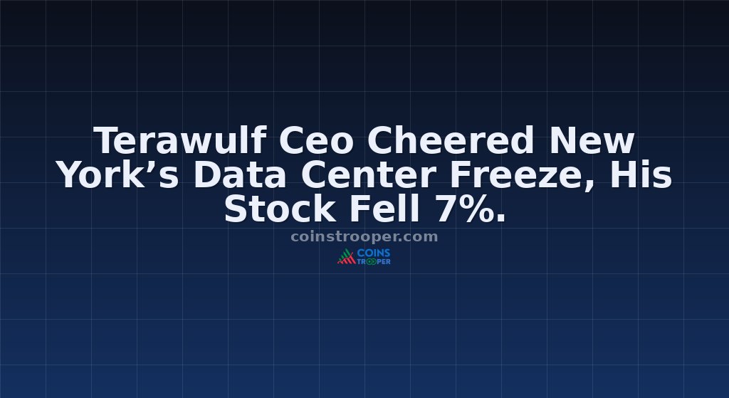 Terawulf Ceo Cheered New York’s Data Center Freeze, His Stock Fell 7%.