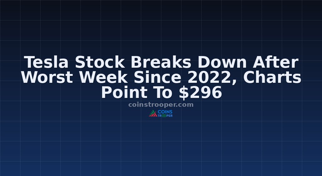 Tesla Stock Breaks Down After Worst Week Since 2022, Charts Point To $296