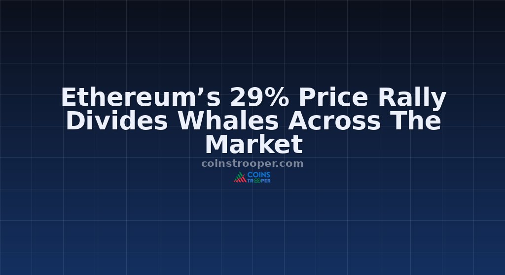 Ethereum’s 29% Price Rally Divides Whales Across The Market