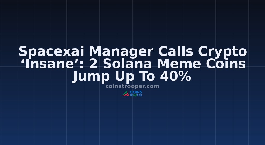 Spacexai Manager Calls Crypto ‘Insane’: 2 Solana Meme Coins Jump Up To 40%