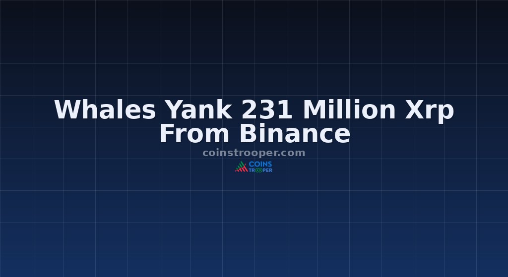 Whales Yank 231 Million Xrp From Binance