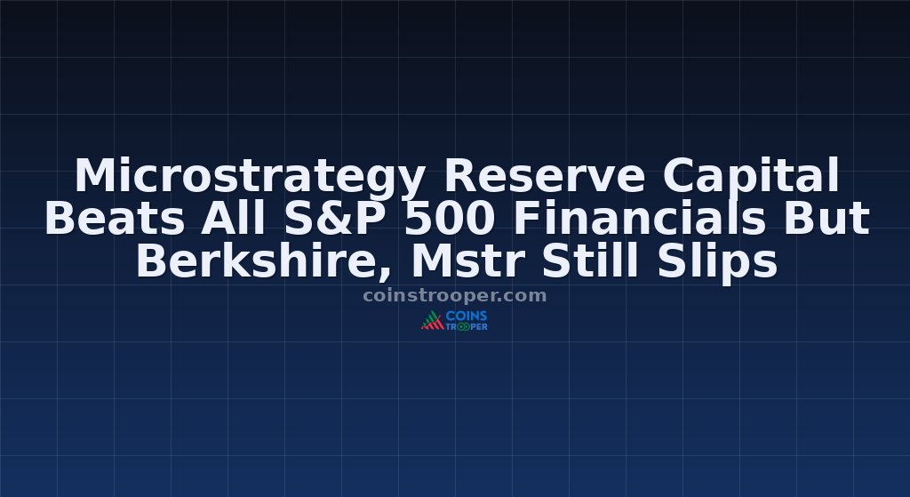 Microstrategy Reserve Capital Beats All S&P 500 Financials But Berkshire, Mstr Still Slips