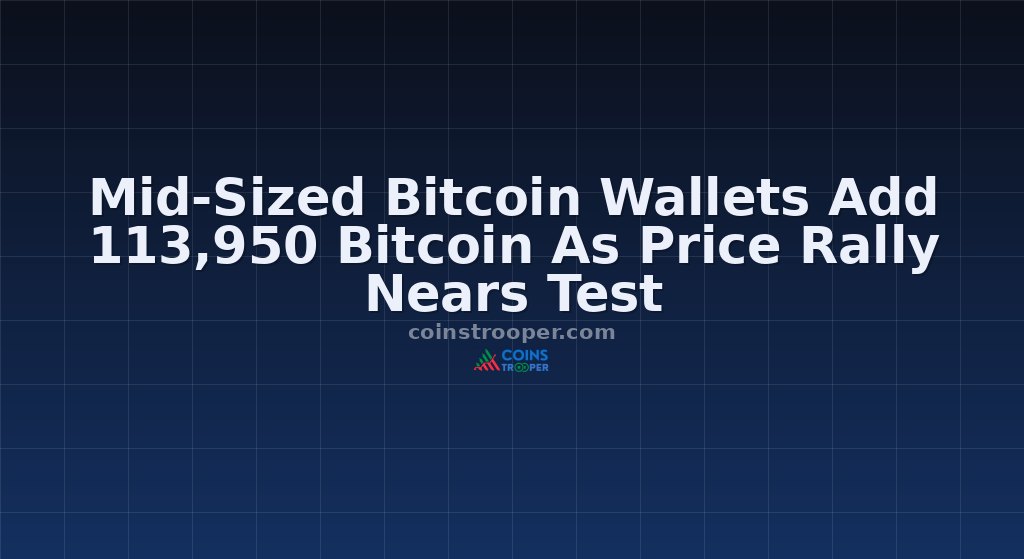 Mid-Sized Bitcoin Wallets Add 113,950 Bitcoin As Price Rally Nears Test
