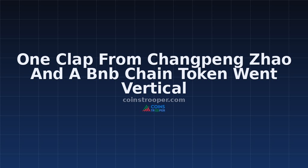 One Clap From Changpeng Zhao And A Bnb Chain Token Went Vertical