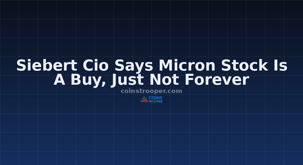 Siebert Cio Says Micron Stock Is A Buy, Just Not Forever