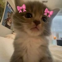 iiii lovvv yuuuu logo