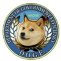 Department Of Governm (Wormhole) logo