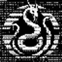 H1DR4 by Virtuals logo