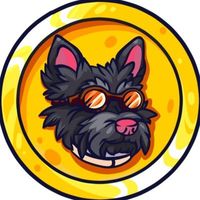 Scotty AI logo