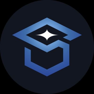 ST Project logo