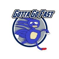 SANIC logo