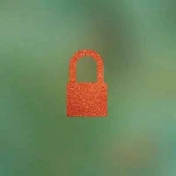The Orange Era logo