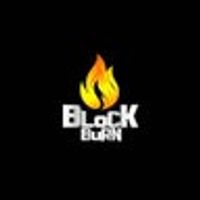 BlockBurn logo