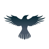 Raven Protocol logo