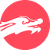 Dragon option logo