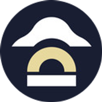 NapoleonX logo