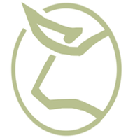 MTI FINANCE logo