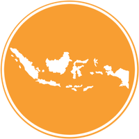 Nusantara Token logo