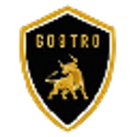 g9tro Crowdfunding Platform logo