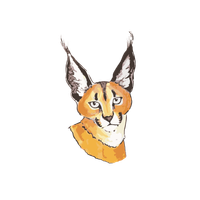 Caracal Swap logo