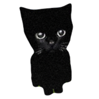 bro the cat logo