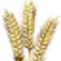 GRAIN Token logo