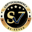 SV7 COIN logo