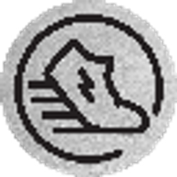 Green Satoshi Token (BSC) logo