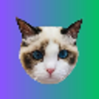 Taylor Swift's Cat BENJI logo