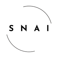 SwarmNode.ai logo