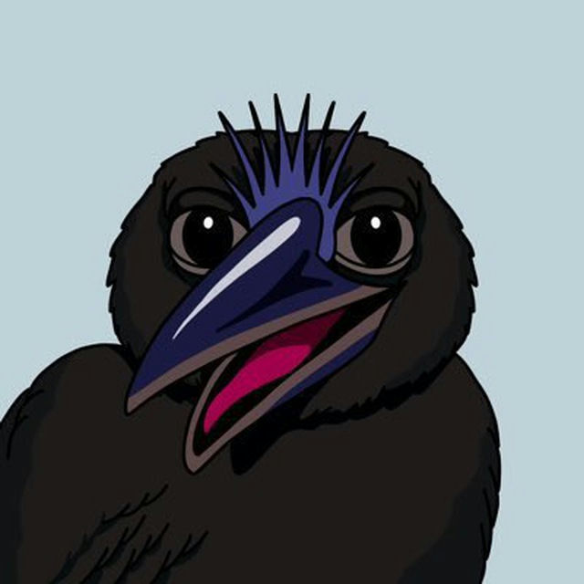 Nitefeeder logo