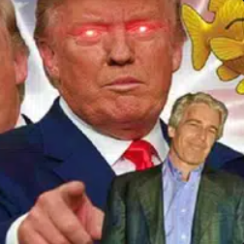 the memes will continue logo