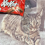 Remember KitKat logo