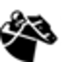 zkRace logo