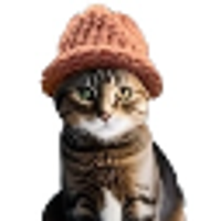 CATWIFHAT logo