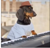 keydog logo