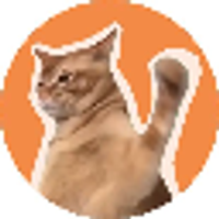 CatSlap logo
