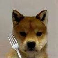 dogwiffork logo