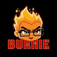 BurnieAI by Virtuals logo