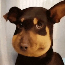 Bee Dog logo