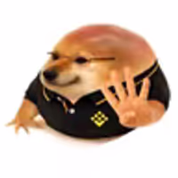 What the Zhao doing? logo
