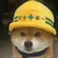SafetyDog全犬 logo