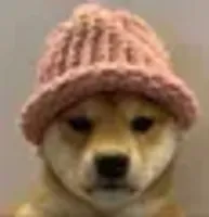 Dog wif hat logo