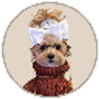 Noods logo