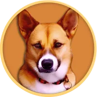 Ken logo